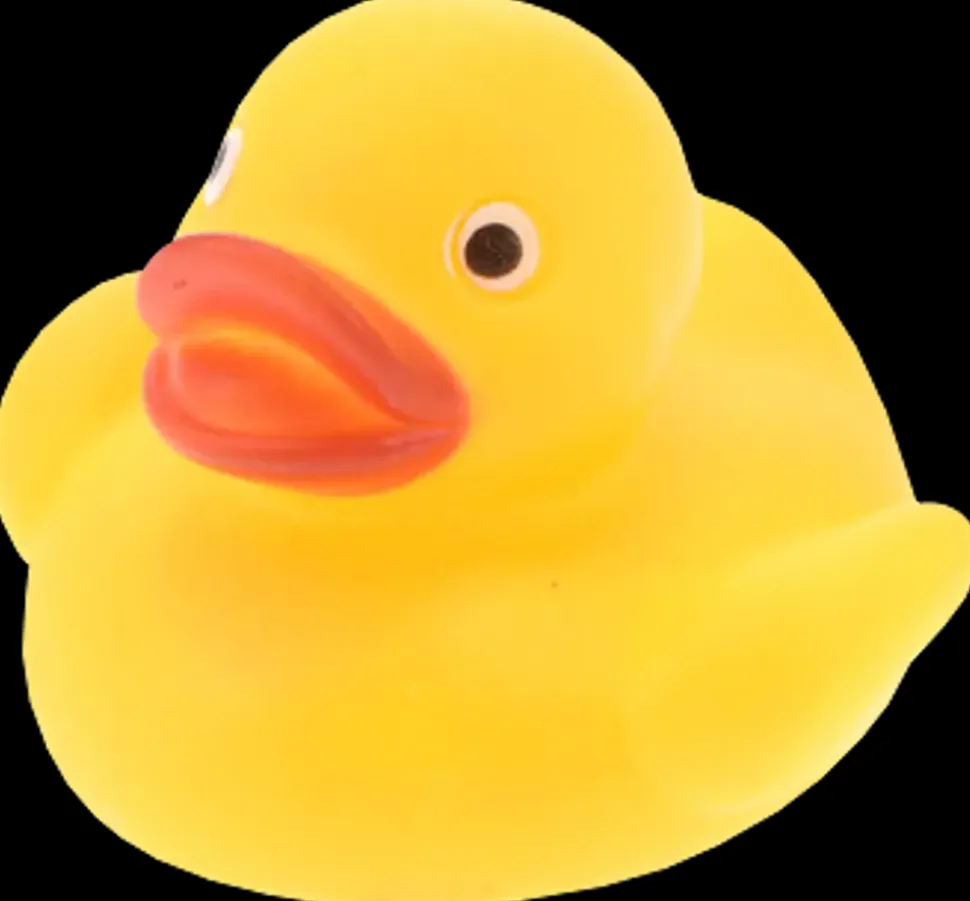 Badeænder 5 stk