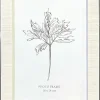 Billedramme 18 x 24 cm Hvid blank