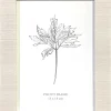 Billedramme 13 x 18 cm Hvid blank