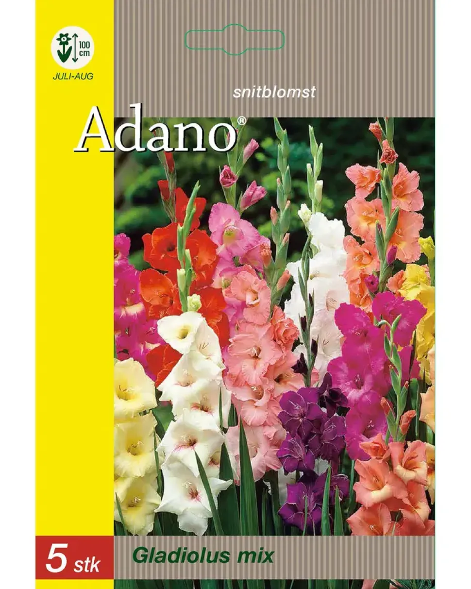 Blomsterløg assorterede varianter