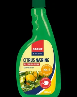 Citrus Næring - 600 ml
