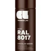 Cosmos Lac Spray CHOCOLATE BROWN RAL8017