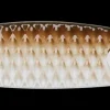DAM Kivik 14 g Sinking Tang