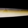 DAM Stripper 17 g Olive White