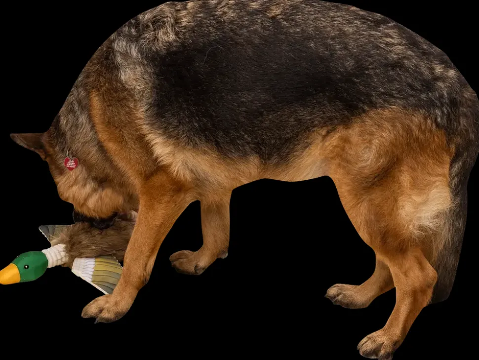 DanPet Hundelegetøj and med reb 42 cm