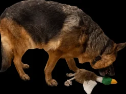 DanPet Hundelegetøj and med reb 42 cm
