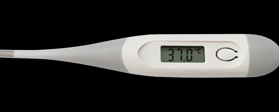 Digitalt termometer