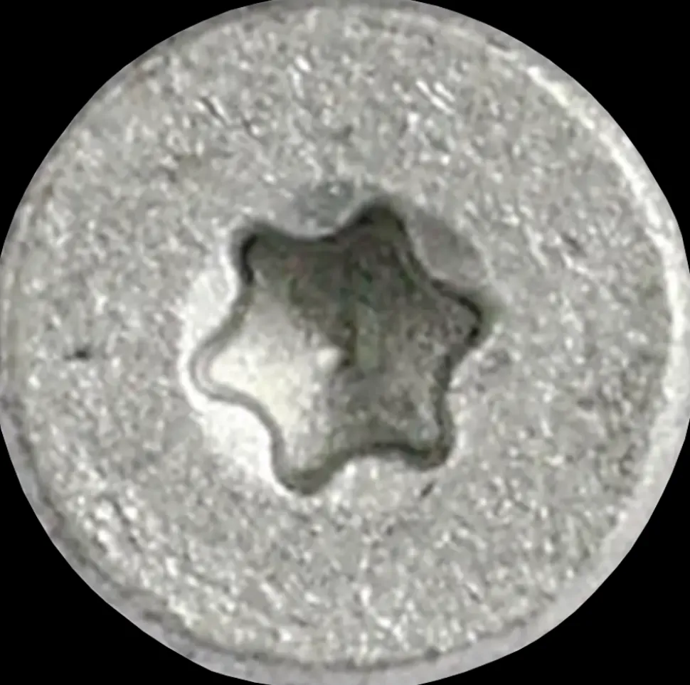 fischer Spånskrue 5 x 100 mm TX20 200 stk.