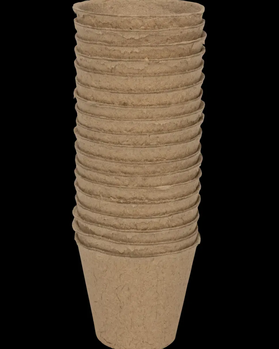 Forspiringspotte Ø6 cm 18-pak