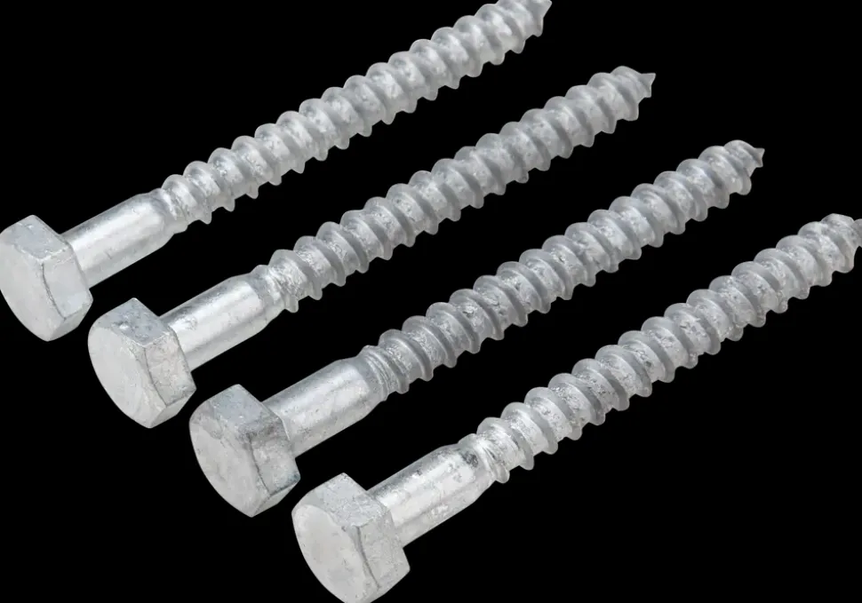 Fransk skrue 10 x 100 mm 4-pak