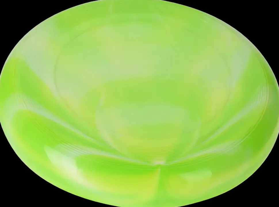 Frisbee - Ø19,8 cm