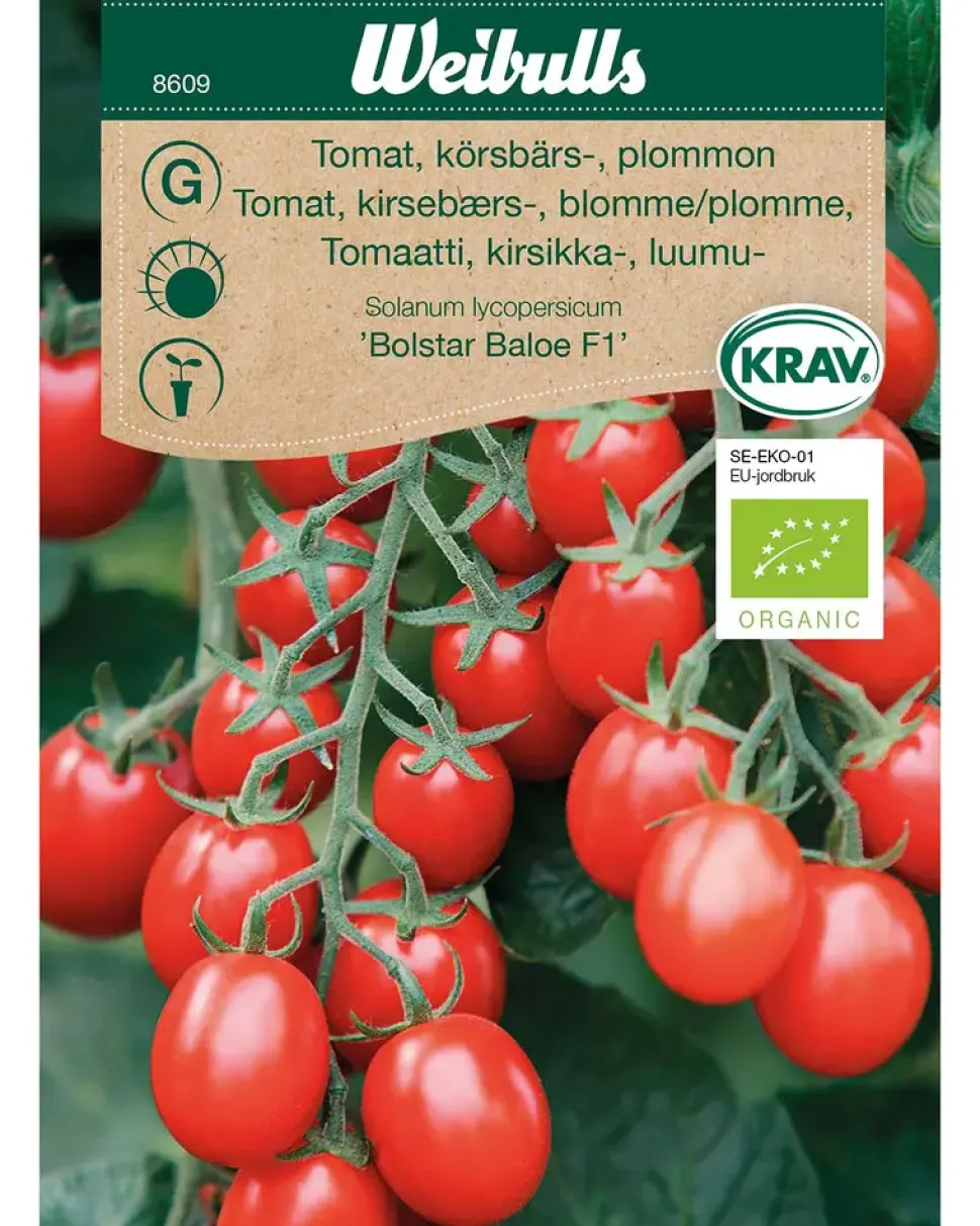 Frøportioner assorterede - prisgruppe G
