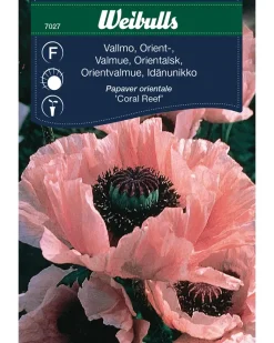 Frøportioner assorterede - prisgruppe F