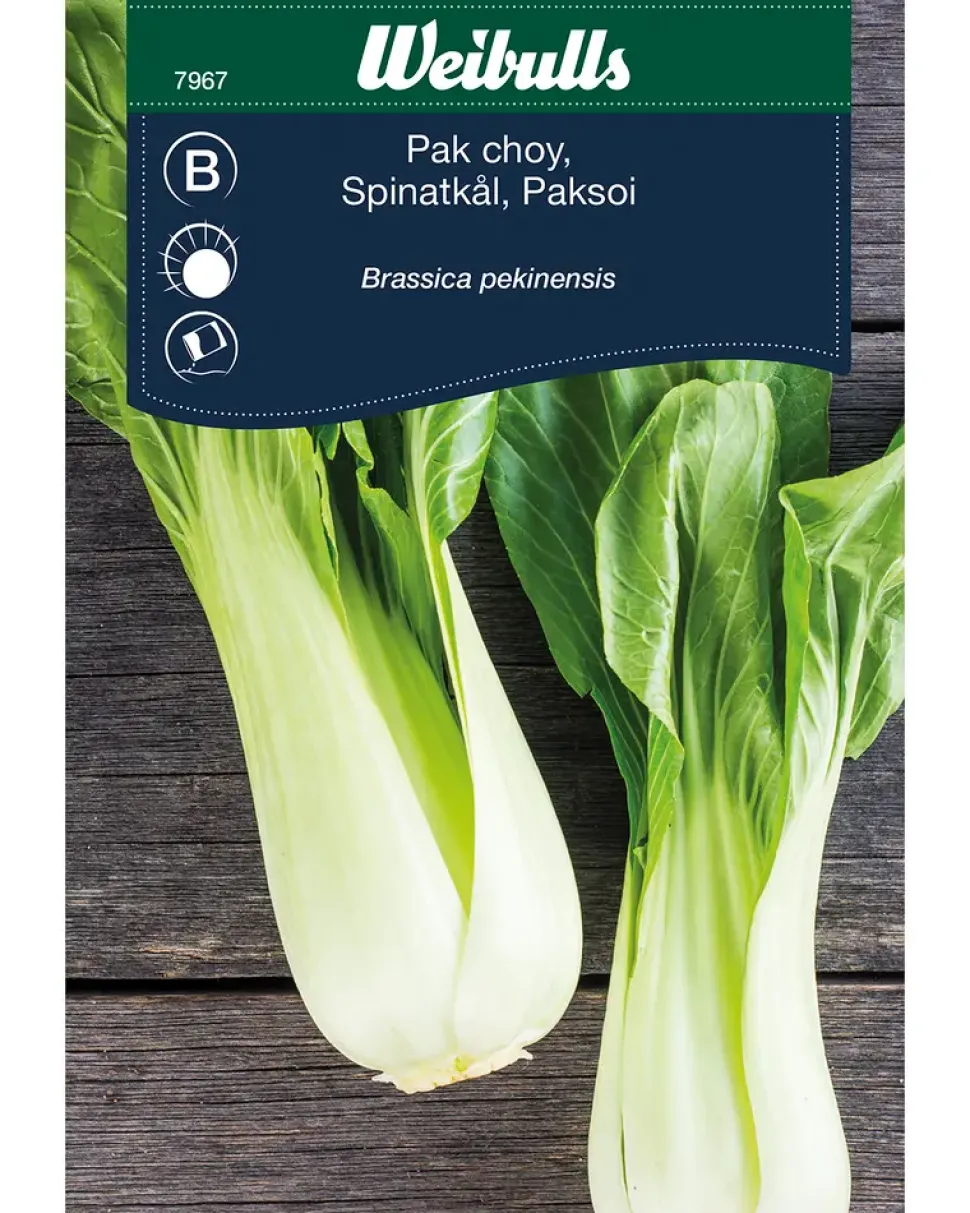 Frøportioner assorterede - prisgruppe B