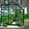 Halls Drivhus Popular 106 hærdet glas og fundament - sort