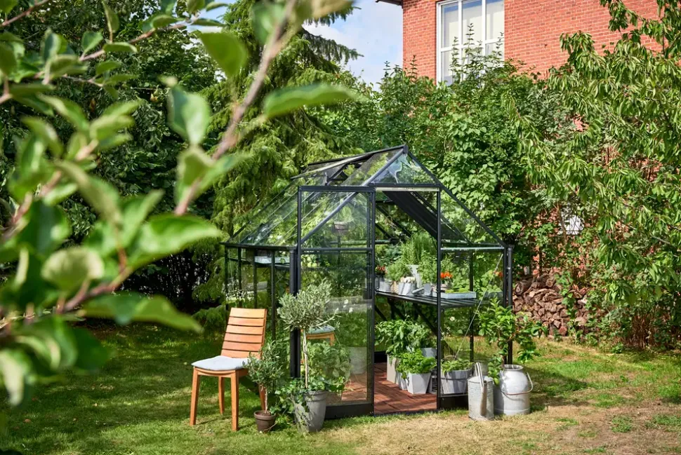 Halls Drivhus Qube 68 + hærdet glas - sort