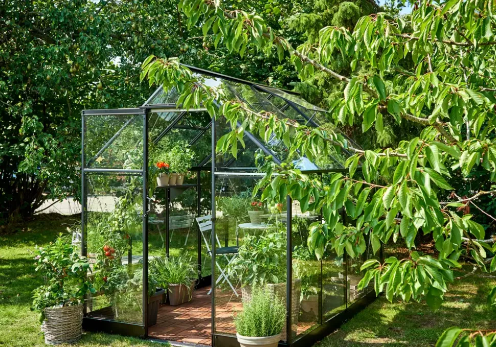 Halls Drivhus Qube 68 + hærdet glas - sort