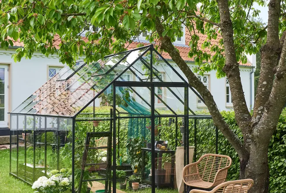 Halls Drivhus Qube+ 812 + hærdet glas - sort
