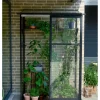 Halls Drivhus Qube Lean-to 24 hærdet glas - sort