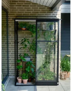 Halls Drivhus Qube Lean-to 24 hærdet glas - sort
