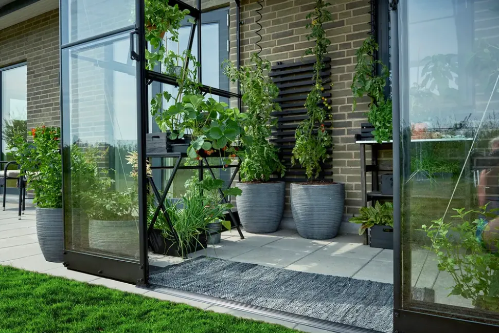 Halls Drivhus Qube Lean-to 68 hærdet glas - sort