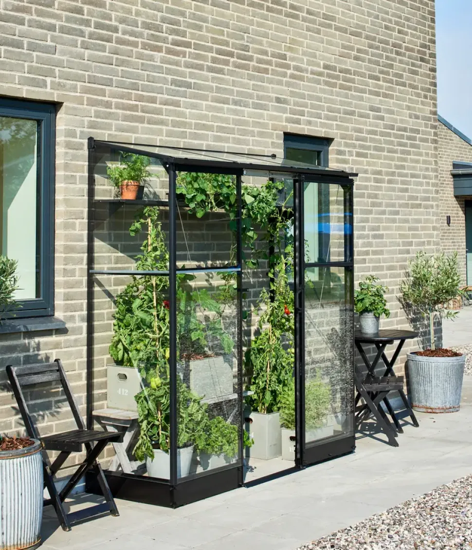 Halls Drivhus Qube Lean-to 26 hærdet glas - sort