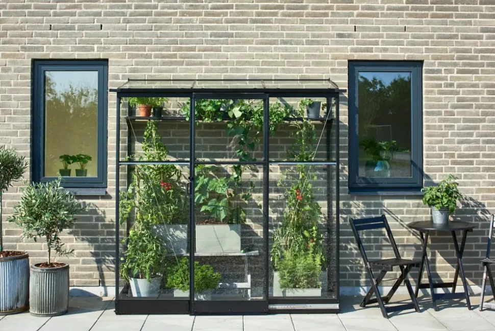 Halls Drivhus Qube Lean-to 26 hærdet glas - sort