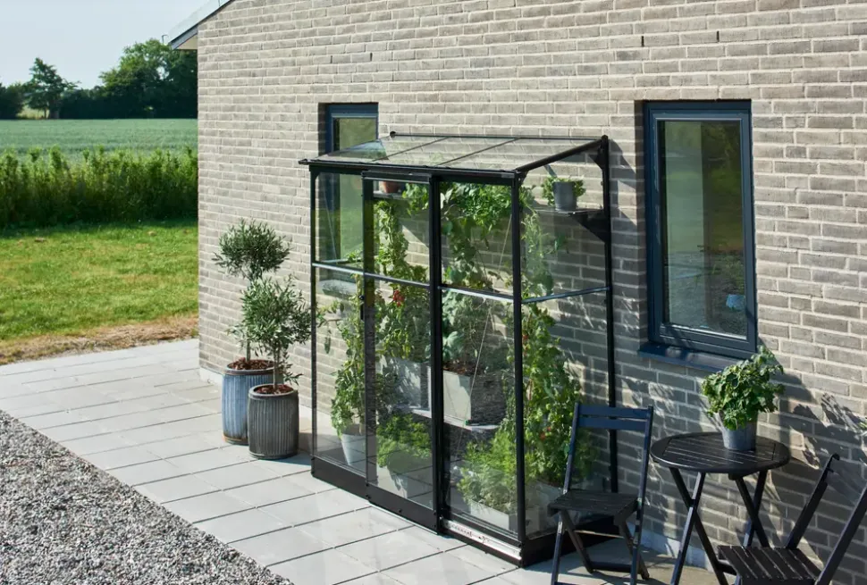 Halls Drivhus Qube Lean-to 26 hærdet glas - sort