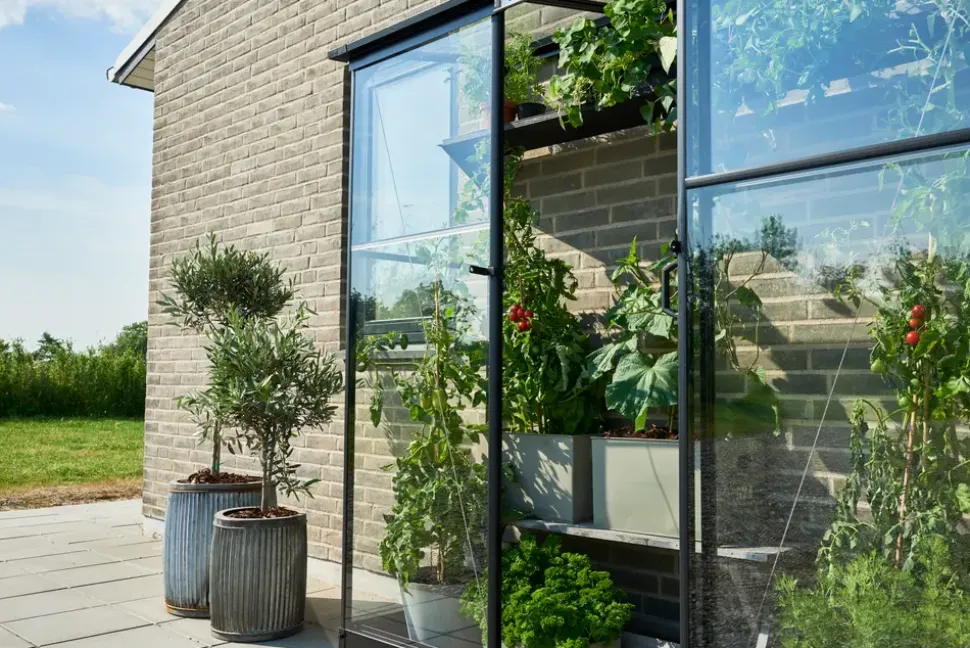 Halls Drivhus Qube Lean-to 26 hærdet glas - sort