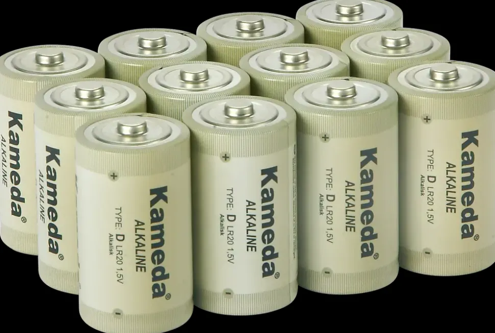 Kameda Alkaline batteri - D 12-pak