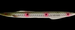 Kinetic Tobias Inline 18 g - Natural Sandeel