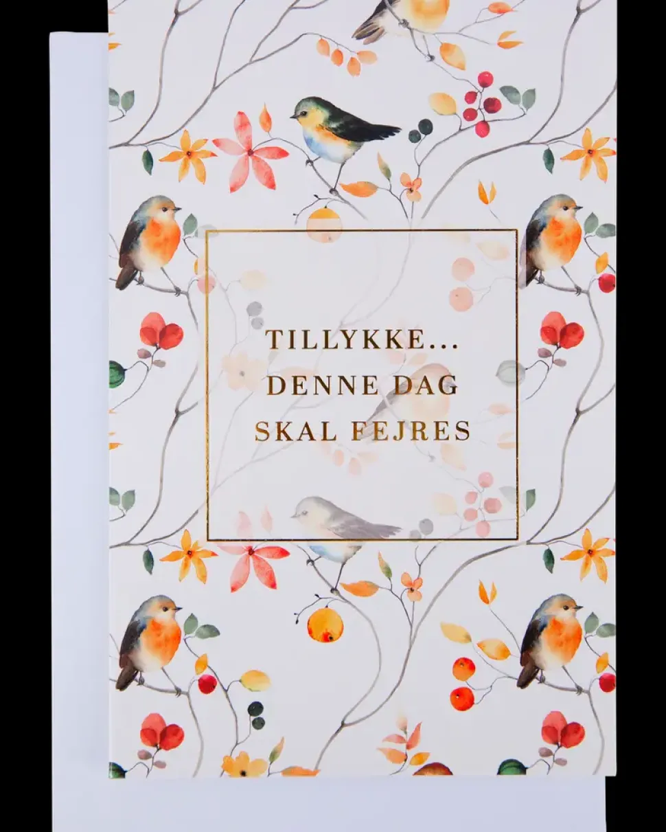 Kort med kuvert 11x17 cm - fugle