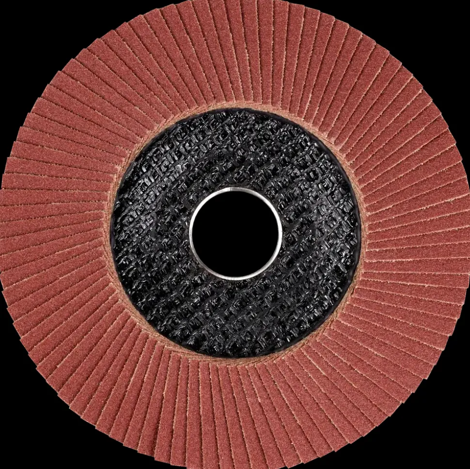 Lamelskive Ø125 mm K120