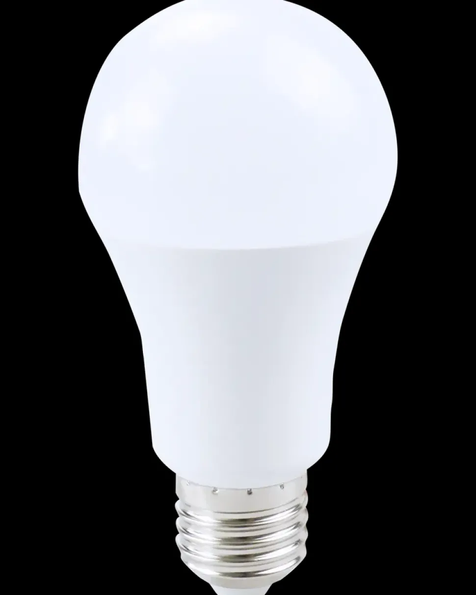 LED-pære 12,5W E27 A60 2-pak