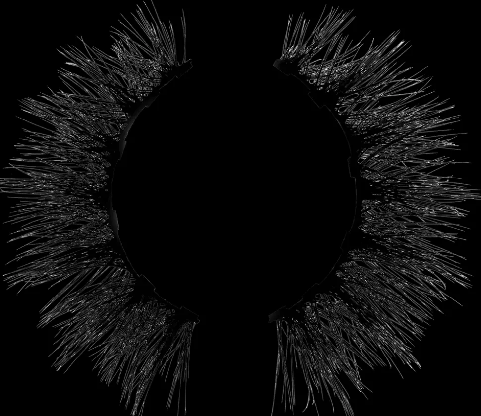 Lovelish Magnetiske øjenvipper - ass. designs