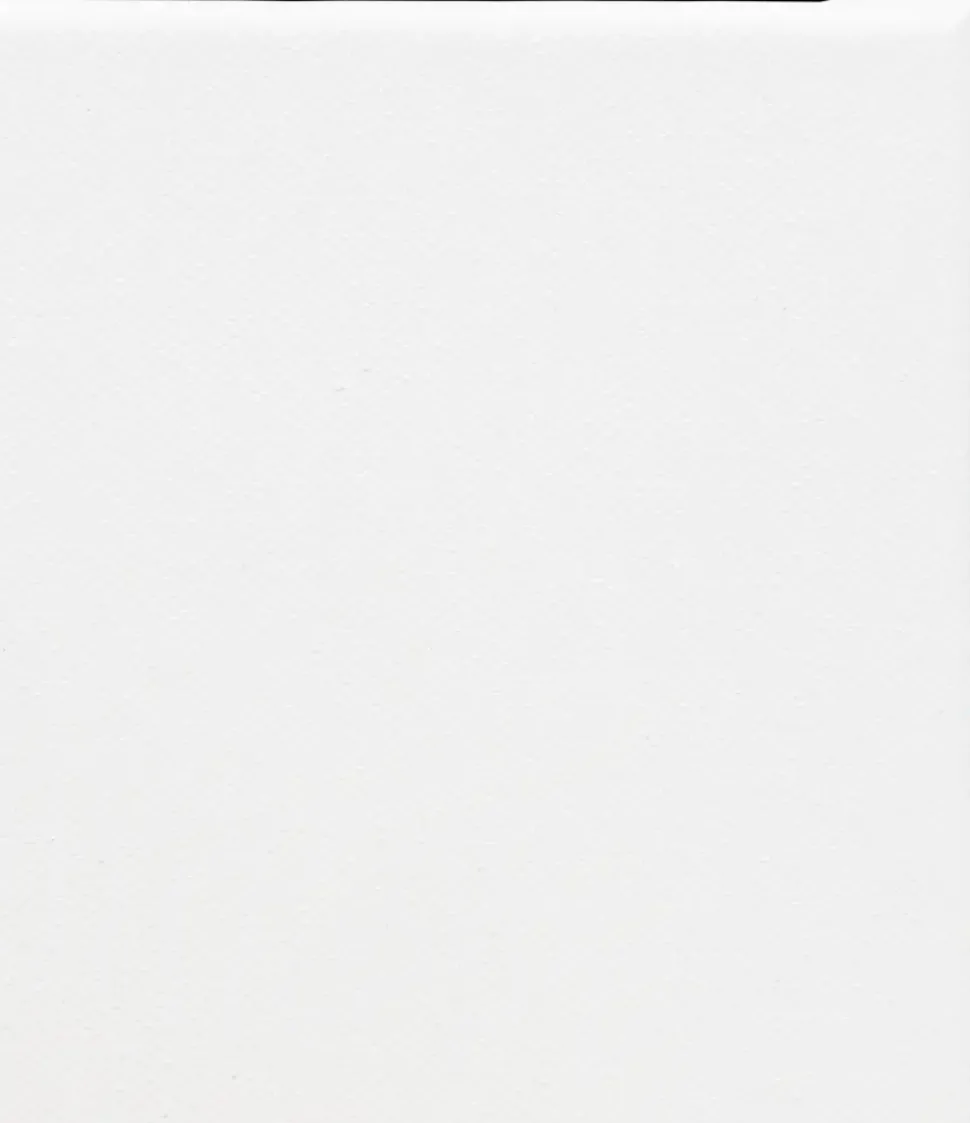 Malerlærred 24 x 30 x 1,7 cm