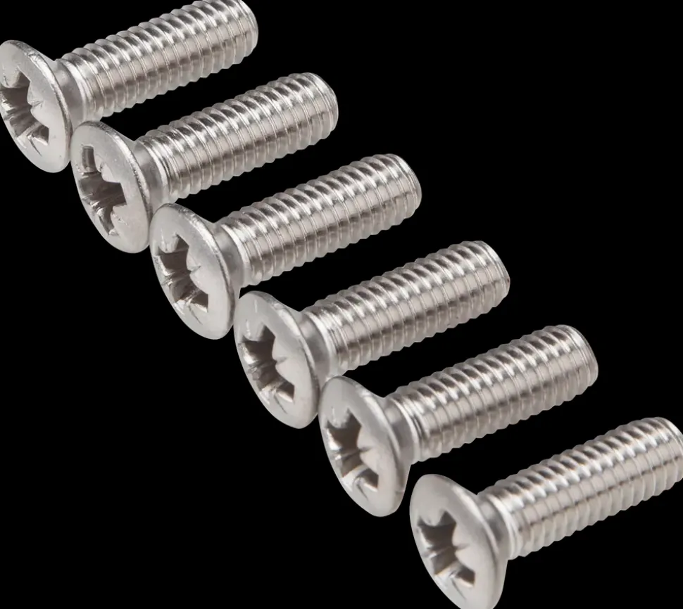 Maskinskrue A4 LH M6 x 20 mm 6-pak