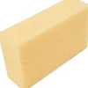 Murersvamp