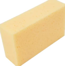 Murersvamp