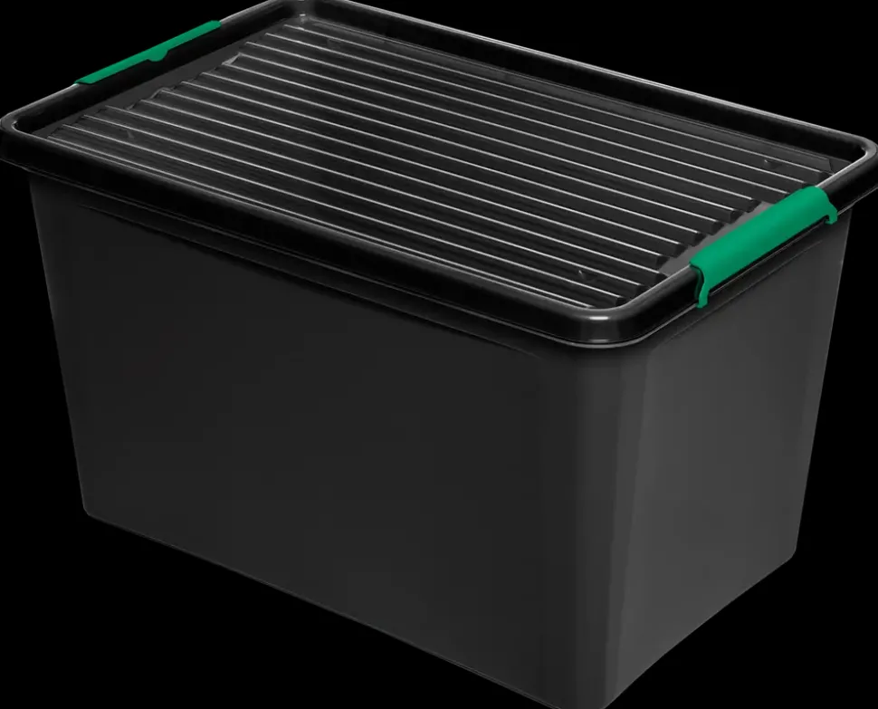 Opbevaringsboks EcoLine 60 L