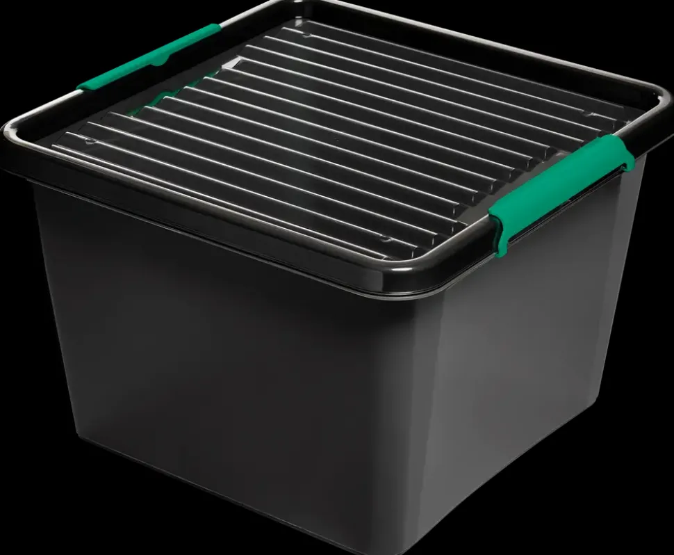 Opbevaringsboks EcoLine 32 L