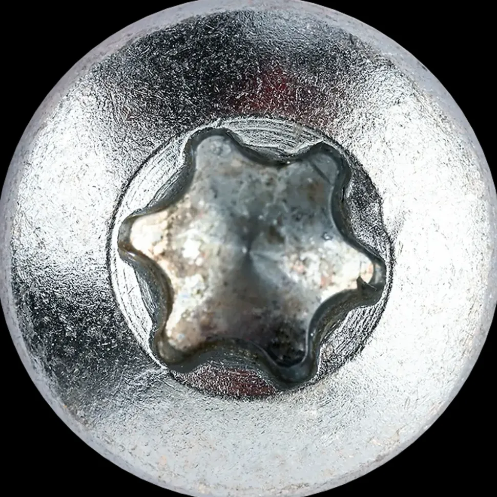 Panskrue 6,0 x 80 mm TX30 50 stk.
