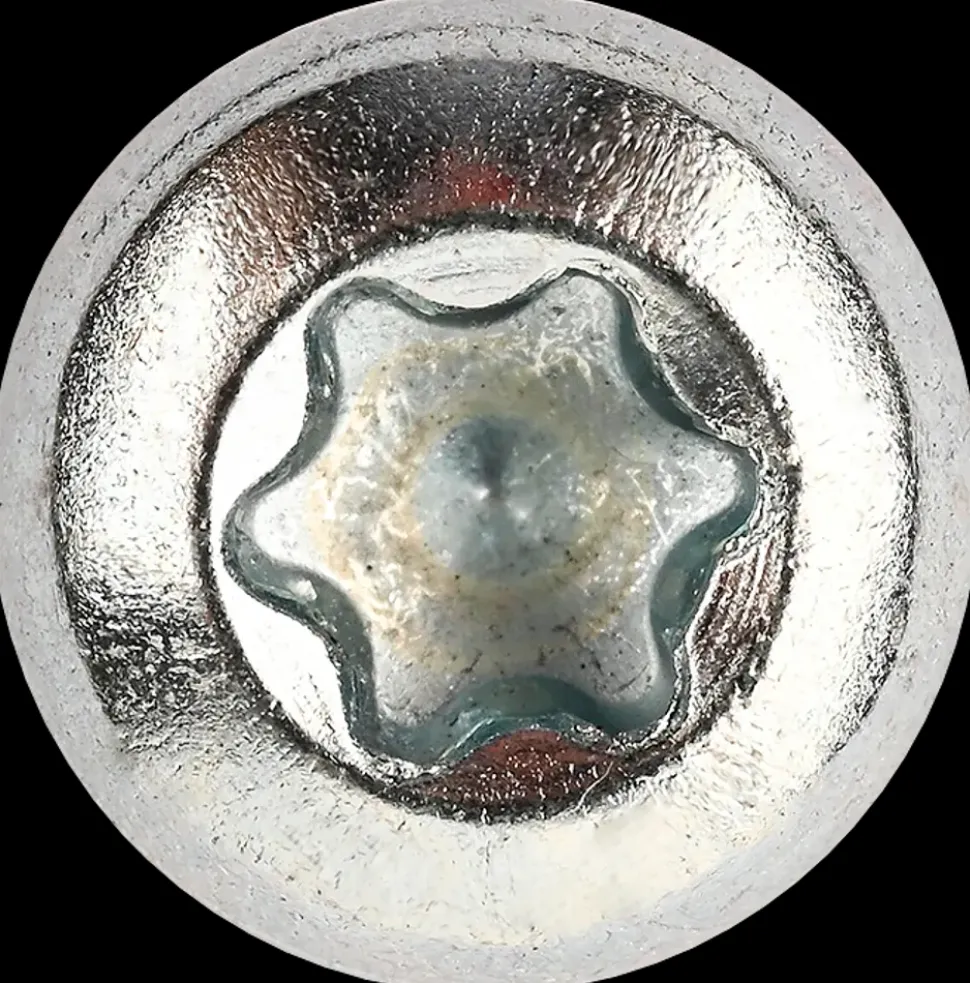 Panskrue 5,0 x 40 mm TX25 100 stk.
