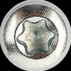 Panskrue 5,0 x 20 mm TX25 200 stk.