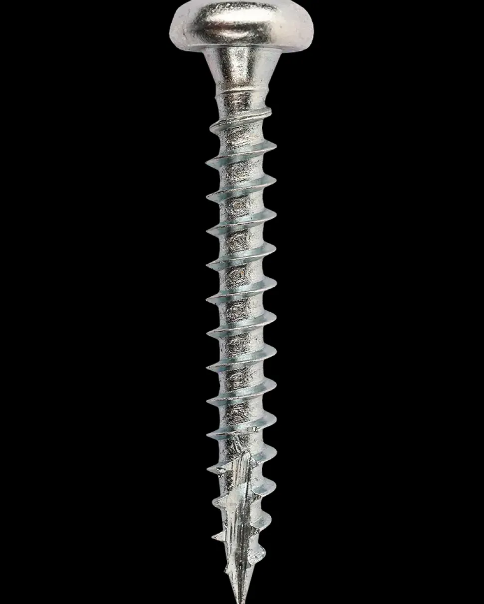 Panskrue 4,0 x 30 mm TX20 200 stk.