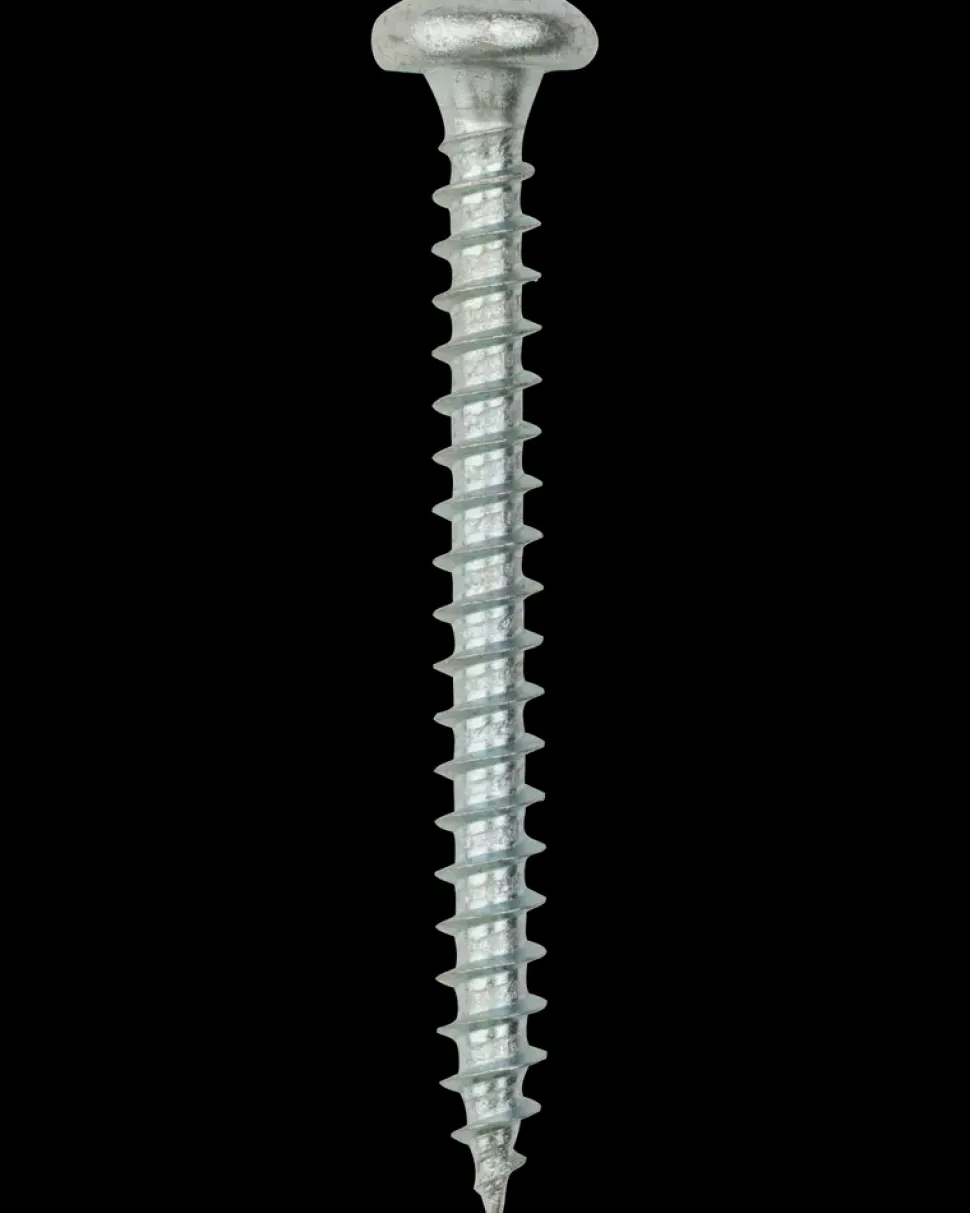 Panskrue 5,0 x 50 mm TX25 50 stk.