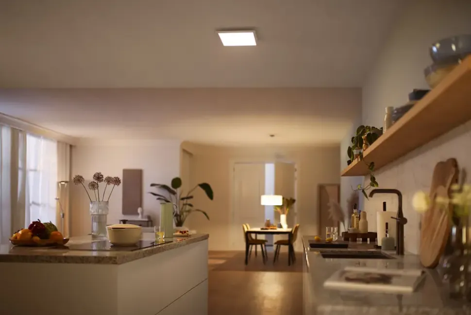 PHILIPS Loftlampe panel Scene 30x30cm 12W - hvid