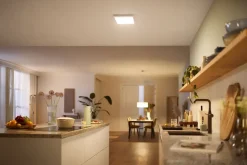 PHILIPS Loftlampe panel Scene 30x30cm 12W - hvid