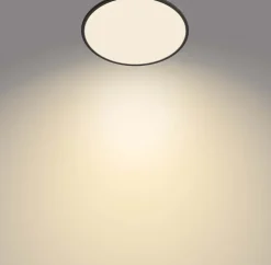 PHILIPS Plafond SceneSwitch slim Ø43cm 22W - sort