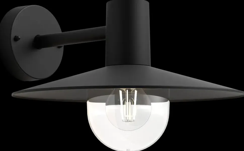 PHILIPS Væglampe Skua E27 - sort